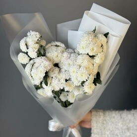 Хризантема кустовая, Пленка матовая, Пленка корейская