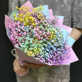 Разноцветная гипсофила 5 шт