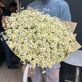 Букет ромашек