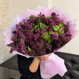 Букет из 29 сирень СЕЗОН СИРЕНИ😍😍😍