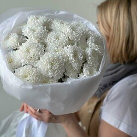 Хризантемы кустовые 5 белоснежные 🕊️