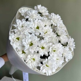 Ромашки букет