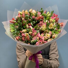 Альстромерия 29