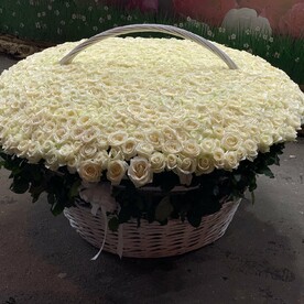 1001 роза