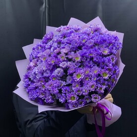 Хризантема 25 веток
