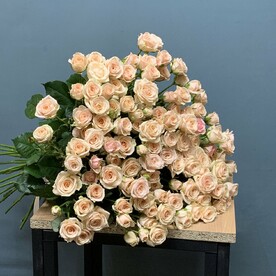 Кустовые розы 49