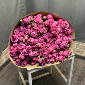 Мисти баблс 33 веток
