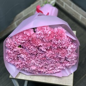 Гвоздика розовая 49шт