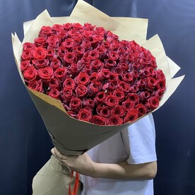 Красные розы 101шт