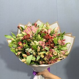 Альстромерия 29шт