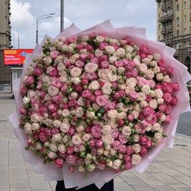 Пионовидная роза 101 ветка