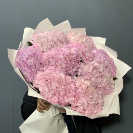 Гортензия 9шт