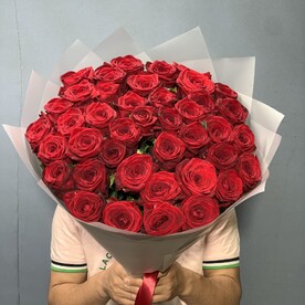 Красные розы 41шт