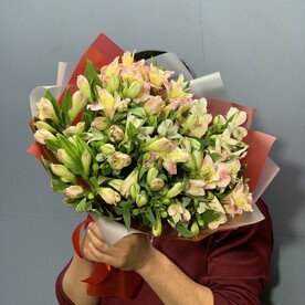 Альстромерия 19 шт