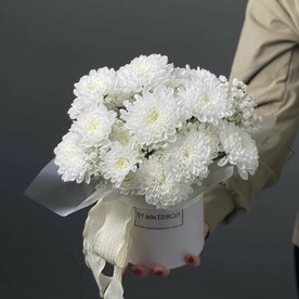 Хризантема кустовая, Шляпная коробка