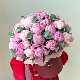 Пионы сара бернар в шляпной коробке