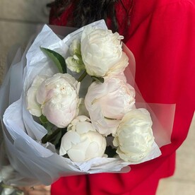 5 махровых пионов букет