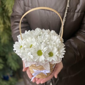 Нежная корзинка хризантем
