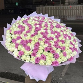 Роза аква, Роза аваланч, Дизайнерская упаковка