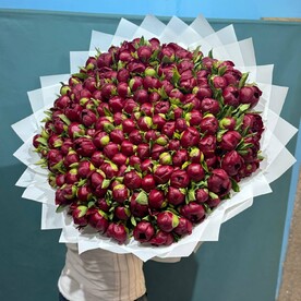 Пионы