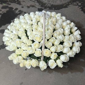 Роза Эквадор, Оаз, Корзина