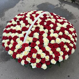 Роза ред наоми, Роза аваланч, Коробка