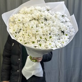 Хризантема кустовая, Дизайнерская упаковка