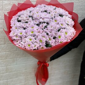 Хризантема кустовая, Дизайнерская упаковка