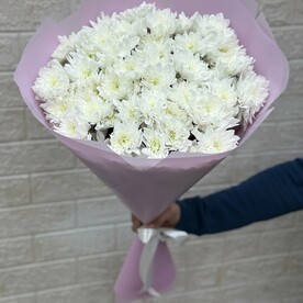 Хризантема кустовая, Дизайнерская упаковка
