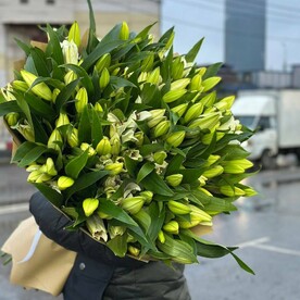 Лилия белая, Дизайнерская упаковка
