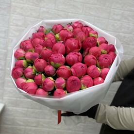 Пион корал шарм, Дизайнерская упаковка, Дизайнерская упаковка