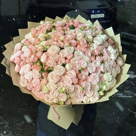 Роза мадам бомбастик, Дизайнерская упаковка