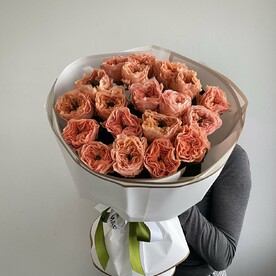 Роза пионовидная, Пленка