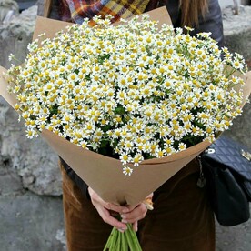 Ромашка, Дизайнерская упаковка