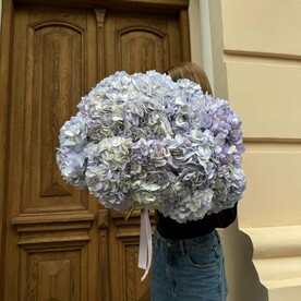 Букет из 21 сиреневой гортензии