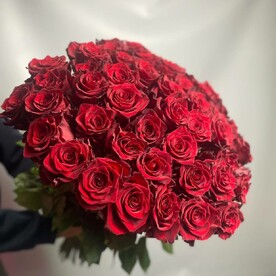 51 роза из Эквадора с крупным бутоном