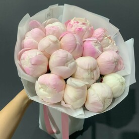 Пион гардения, Пленка матовая