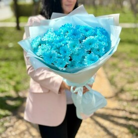 Хризантема, Упаковка