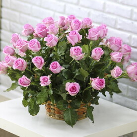 Корзина с розовыми розами 51 шт