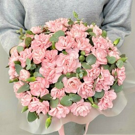 Нежные диантусы в коробке