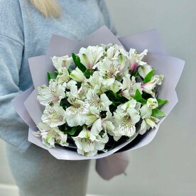 Букет из 9 Альстромерии