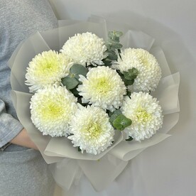 Букет из 7 хризантем