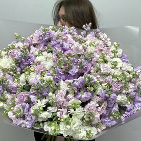 Букет кустовой маттиолы