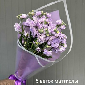 Букет маттиола кустовая