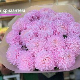 Букет хризантемы крым