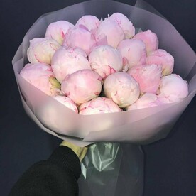 Букет пионов 19 шт
