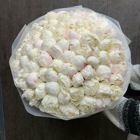 Пион боул оф крим, Корейская бумага, Оформление