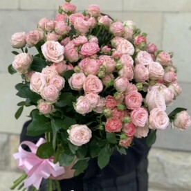 Роза кустовая