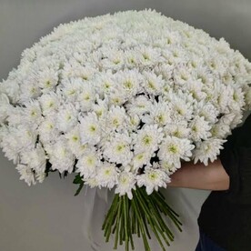 Букет из 51 кустовой хризантемы