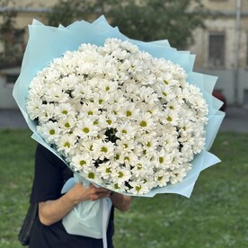 Хризантема, Дизайнерская упаковка